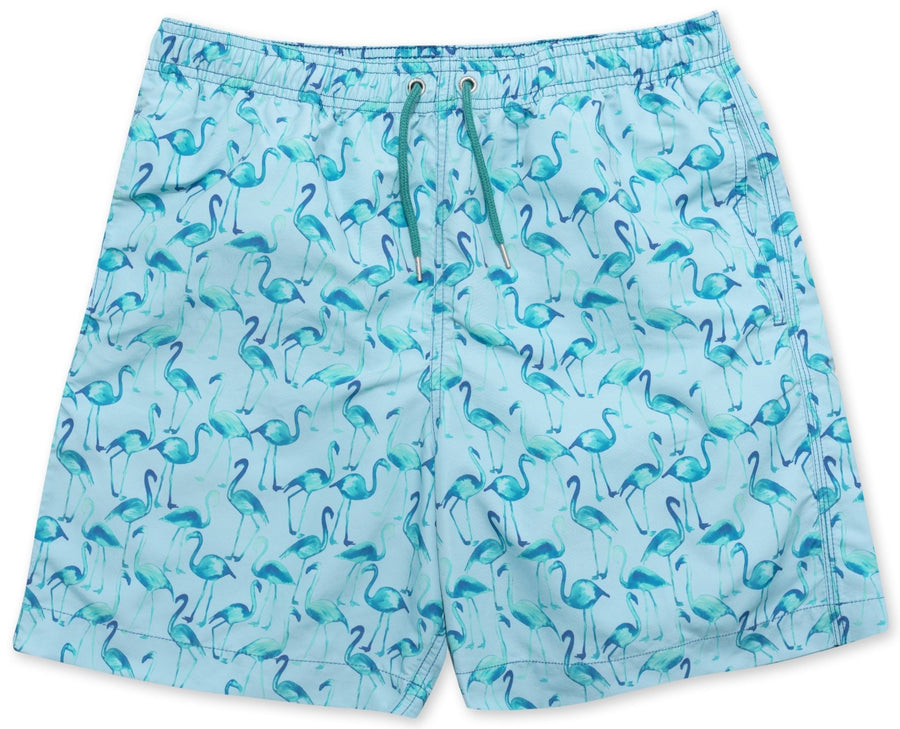 Flamingo Swim Shorts - Blue/Teal freeshipping - BUNKS | Swimming Shorts For Boys & Men