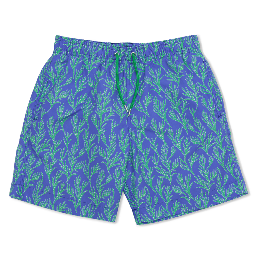 Seaweed Swim Shorts - Blue/Green freeshipping - BUNKS | Swimming Shorts For Boys & Men