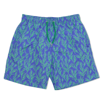 Seaweed Swim Shorts - Blue/Green freeshipping - BUNKS | Swimming Shorts For Boys & Men